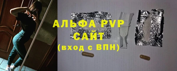 индика Алексин