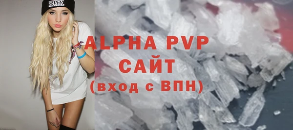 индика Алексин