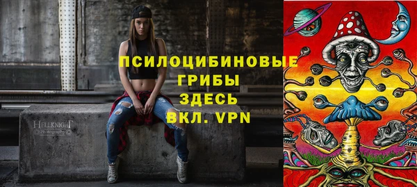 PSILOCYBIN Алексеевка