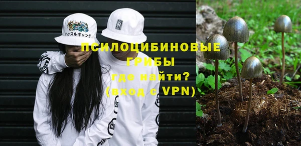индика Алексин