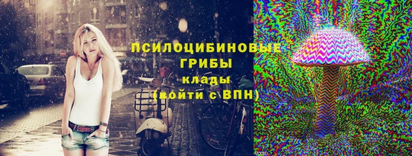 PSILOCYBIN Алексеевка