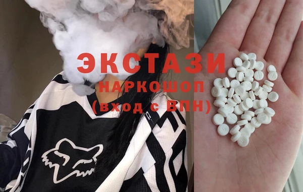 индика Алексин