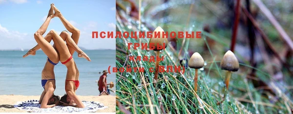 индика Алексин