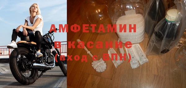индика Алексин