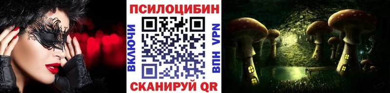 Псилоцибиновые грибы GOLDEN TEACHER где купить наркоту shop состав Опочка